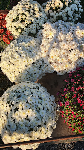 Comentarii opinii despre Tržnica Velika Gorica