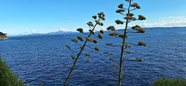 Restoran Laguna Makarska