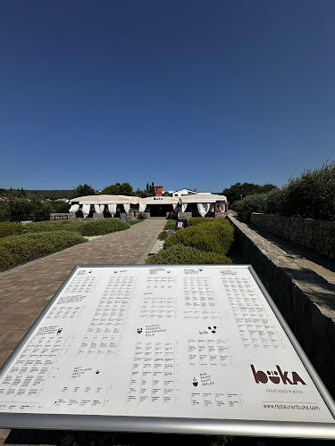 Comentarii opinii despre Buka