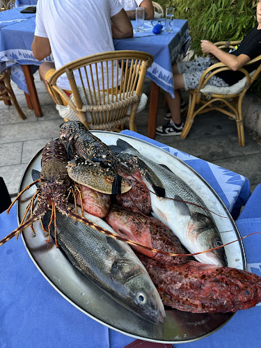 Opinii despre Restoran Pojoda în Vis - Gastronomija i ugostiteljstvo