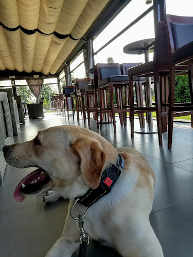 Ul. Kneza Trpimira 16, 31000, Osijek