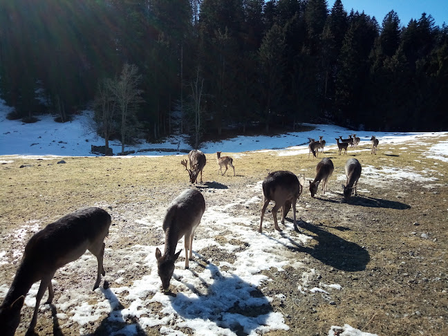 D32 7, 51307, Kozji Vrh