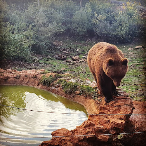 Comentarii opinii despre OBRT "IVE" Kuterevo