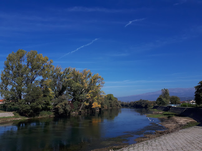 Comentarii opinii despre FIVE lounge & bar