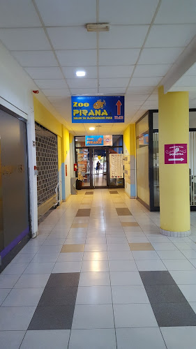 Križevačka ul. 31, 48000, Koprivnica