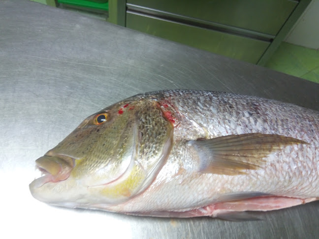 Opinii despre Kod Barba Luke în Stari Grad - Gastronomija i ugostiteljstvo