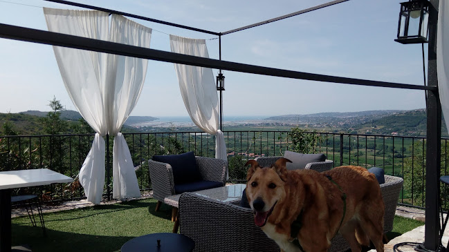 Stari Kaštel - Gastronomija i ugostiteljstvo