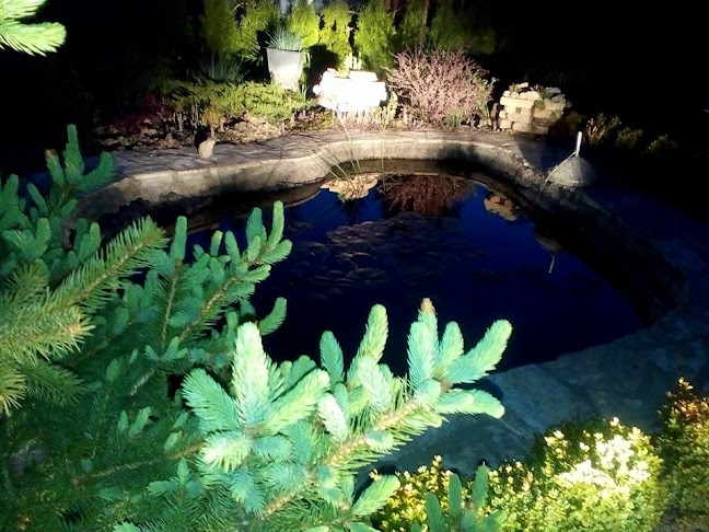 Caffe bar & Catering Dioniz - Gastronomija i ugostiteljstvo