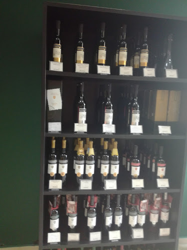 Iločki podrumi-prod.br.15