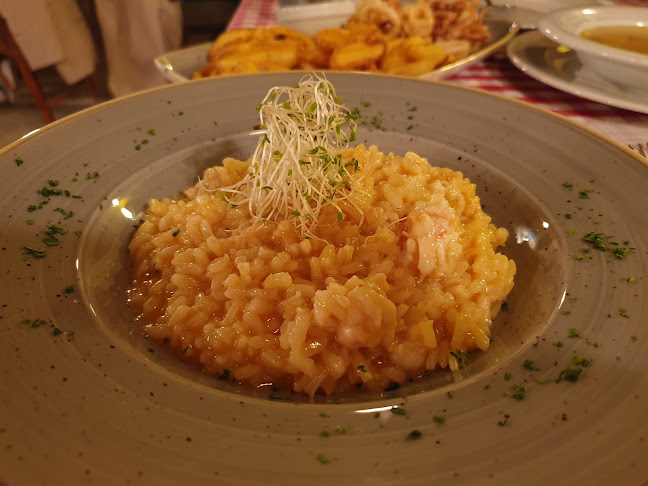 Comentarii opinii despre Restaurant Jadera Zadar