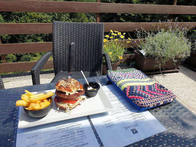 Comentarii opinii despre Pansion Lovački