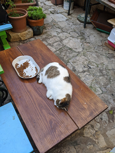 Cogito Coffee Shop / Dubrovnik Old Town - Gastronomija i ugostiteljstvo