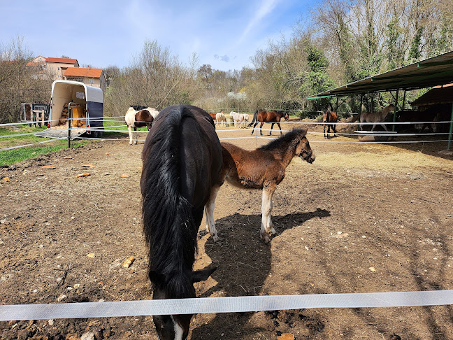 Ranc Mustang - Gastronomija i ugostiteljstvo