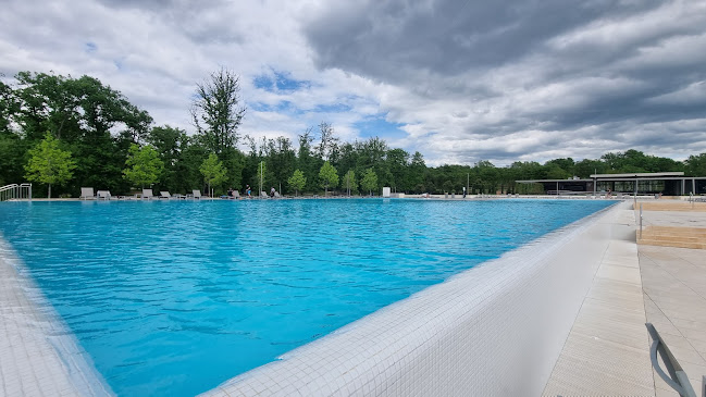 Buffet&bar Canova - Gastronomija i ugostiteljstvo