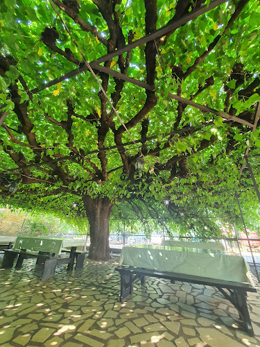 Opinii despre Restoran Agroturizam Sterle în Brtonigla - Gastronomija i ugostiteljstvo