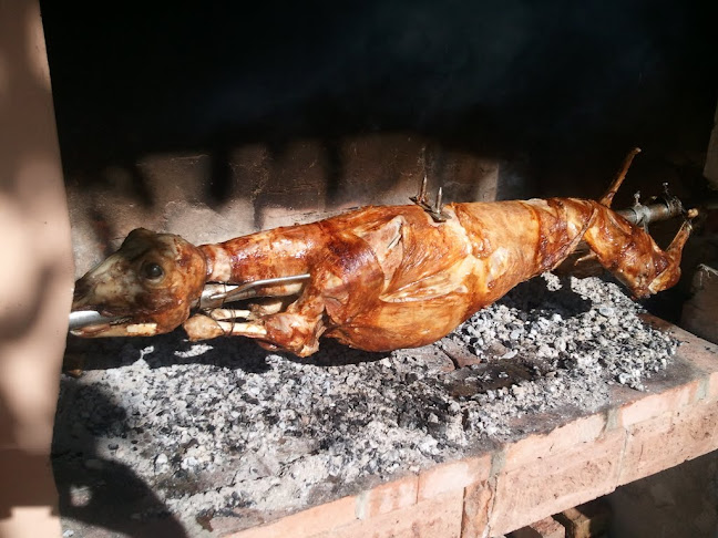 Caffe Bar Petica - Gastronomija i ugostiteljstvo