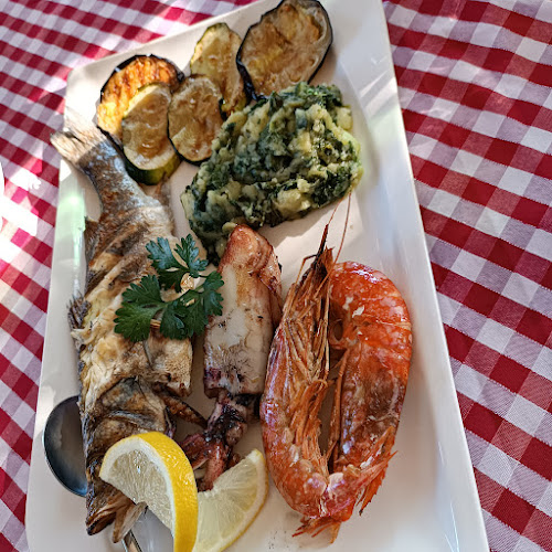 Comentarii opinii despre Konopica