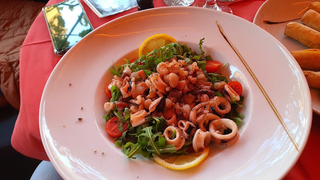 Stella bar & Vip restoran - Gastronomija i ugostiteljstvo