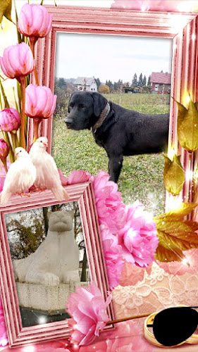 Knegingradska ul. 52, 42204, Gornji Kneginec