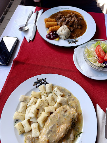 Comentarii opinii despre Pansion Lovački