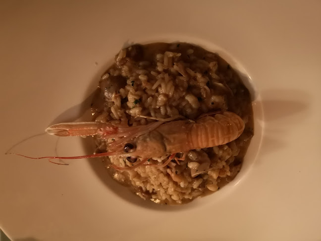 Comentarii opinii despre Plavi podrum