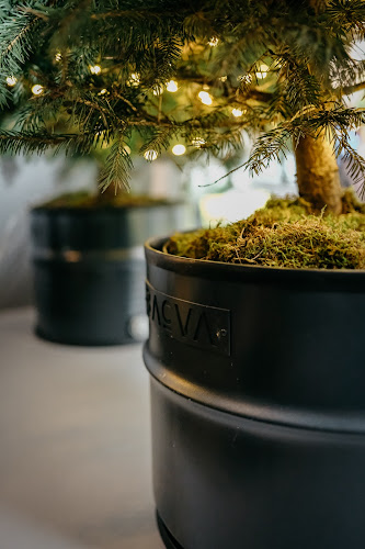 Comentarii opinii despre Velvet Cafe