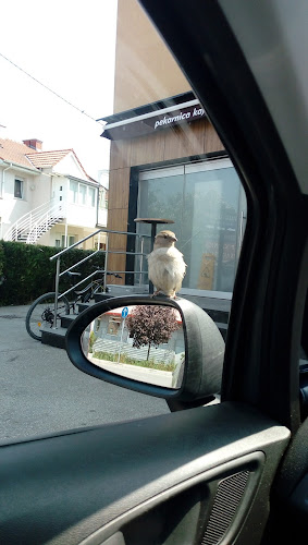 Comentarii opinii despre Pekarnica Kajzerica