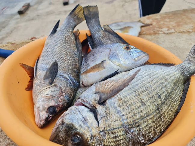 Comentarii opinii despre Slastičarnica Pizzeria Susak