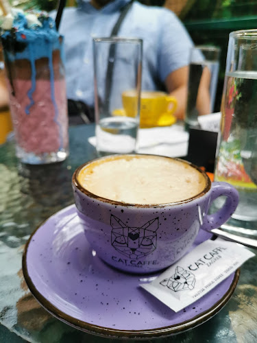 Ul. Dragojla Kušlana 6, 10000, Zagreb