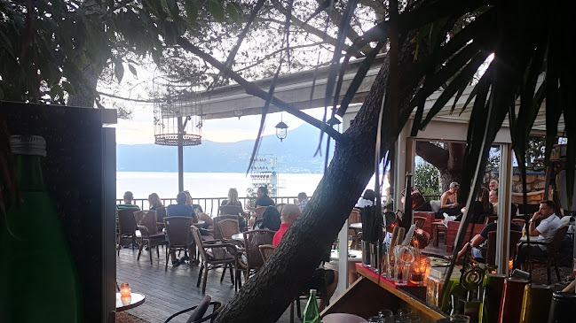 Viva Caffe Do Brasil