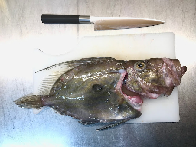 Zaklopatica 15, 20290, Lastovo