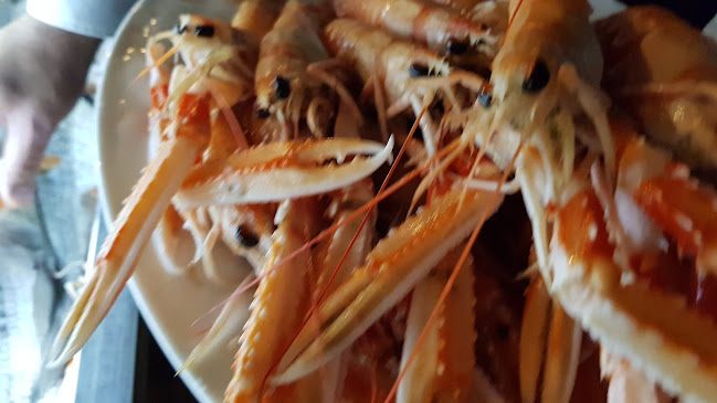 Opinii despre Konoba Dida în Zagreb - Gastronomija i ugostiteljstvo