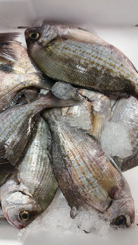 Comentarii opinii despre Peskarija Kalambera