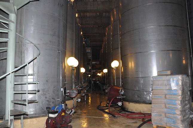 KUTJEVO d.d. Restoran Kutjevački Podrum - Gastronomija i ugostiteljstvo