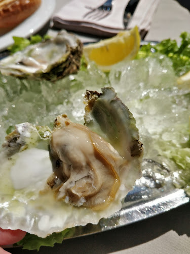 Opinii despre Restaurant Kamerlengo în Trogir - Gastronomija i ugostiteljstvo