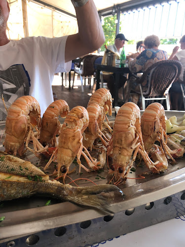 Comentarii opinii despre Konoba Pod Orajom