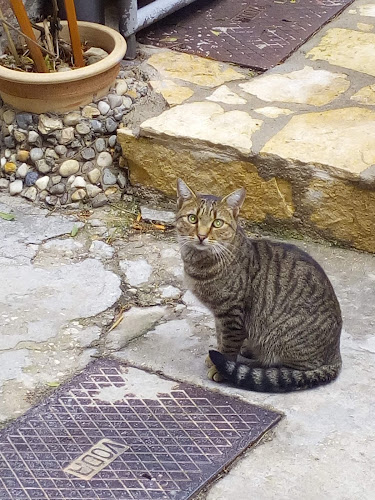 Opinii despre Caffe bar Žega în Kaštela - Gastronomija i ugostiteljstvo