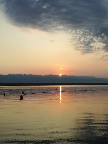 Pekarna "JADRAN" Vir - Gastronomija i ugostiteljstvo
