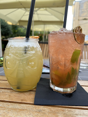 Comentarii opinii despre Terra Magica