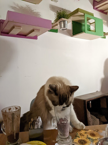 Ul. Dragojla Kušlana 6, 10000, Zagreb