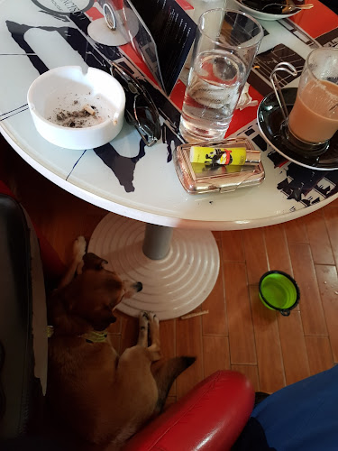 San Francisco Coffee House - Gastronomija i ugostiteljstvo