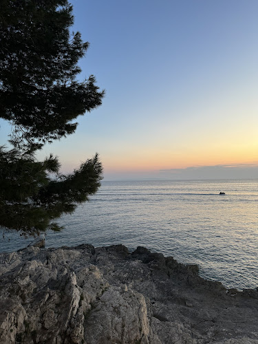 Comentarii opinii despre Lanterna Grill & Gourmet