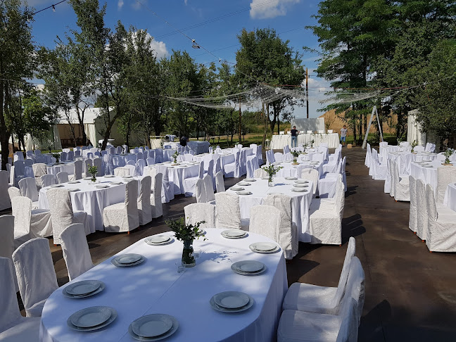 Salaš Tena - Gastronomija i ugostiteljstvo