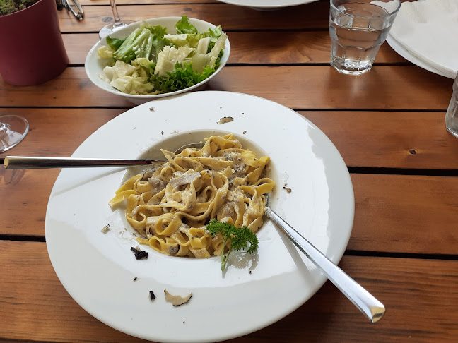 Restoran aModoMio - Gastronomija i ugostiteljstvo