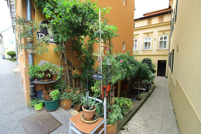 Caffe Bars Domus - Gastronomija i ugostiteljstvo