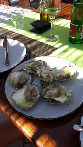 Broce 11, 20230, Broce