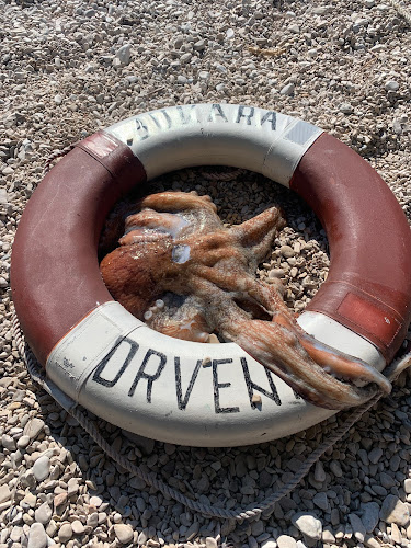 Comentarii opinii despre Konoba Bukara