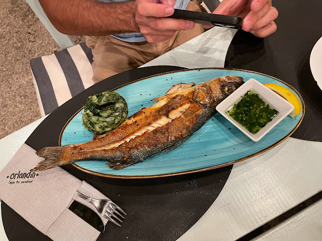 Opinii despre Orlandin în Vrsar - Gastronomija i ugostiteljstvo