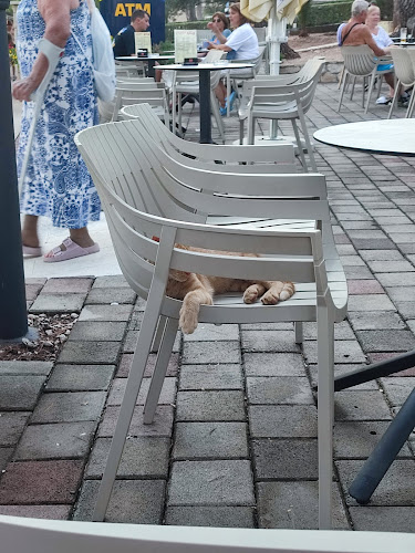 Caffe bar Aquarelle - Gastronomija i ugostiteljstvo