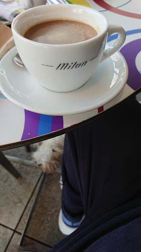 Opinii despre Caffe&Snack Bar Milan1967 în Pula - Gastronomija i ugostiteljstvo